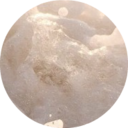 goldennebulas avatar