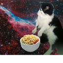 goldenstarprimegoddess avatar