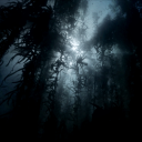 goldenstoriesfromgoldenhearts avatar