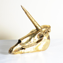 goldenunicorngodenunicorn avatar