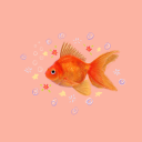 goldfish-fhr avatar