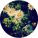 goldfish-rkgk avatar