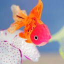 goldfish-writes avatar