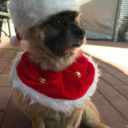 goldhay19-blog avatar