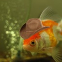 goldlfish avatar