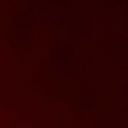 goldstarfordanosaur avatar