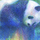 gonmorihikaru avatar