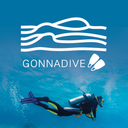 gonnadive avatar