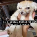 gonnatakealittlenap avatar