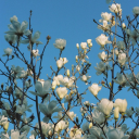 good---things avatar