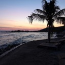 good-for-you-x avatar