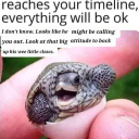 good-humans-only avatar