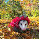 good-luck-des avatar