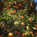 good-vibes-202 avatar