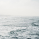 good-vibes-only-95 avatar