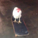 good13heavens avatar