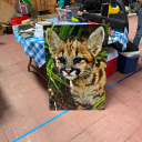 goodbluedrink avatar