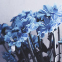 goodbye-blue-archive avatar