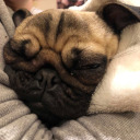 goodbyehihello avatar