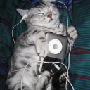 goodbyetolight avatar