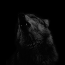 gooddieyoungthatswhyimalive avatar