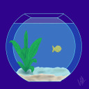 goodfish-bowl avatar