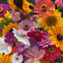 goodgirllll01 avatar