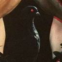 goodie-at-ease avatar