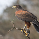 goodisbetterthan-perfect-blog avatar