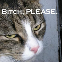 goodkwuestion avatar