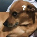 goodlife4everfuck avatar