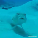 goodluckmybud avatar