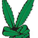 goodmarijuanna avatar