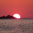 goodmorningglow avatar