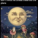 goodmorningwaffls avatar