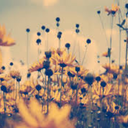 goodness-and-mercy avatar