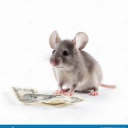 goodness-gracious13 avatar