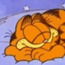 goodnightgarfieldgallery avatar