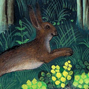 goodnighthares avatar