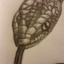 goodomenssnuffer avatar