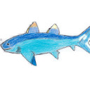 goodrichthyseskdalensis avatar