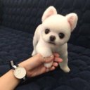 goodthought22-blog avatar