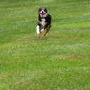 goodtimetorollon avatar