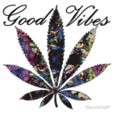 goodvibes469 avatar