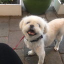 goodvibesss-98 avatar