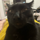 goopydoopywah avatar