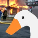 goose-ate-a-nuclear-reactor avatar