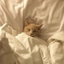 goose-the-corvid avatar