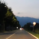 gooseandneptune avatar