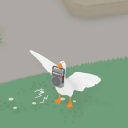 gooseofdumbquestions avatar